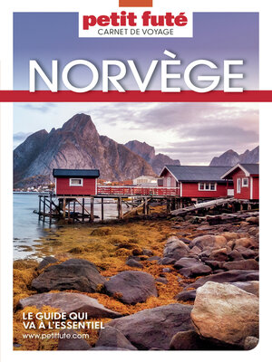 cover image of NORVÈGE 2023 Carnet Petit Futé